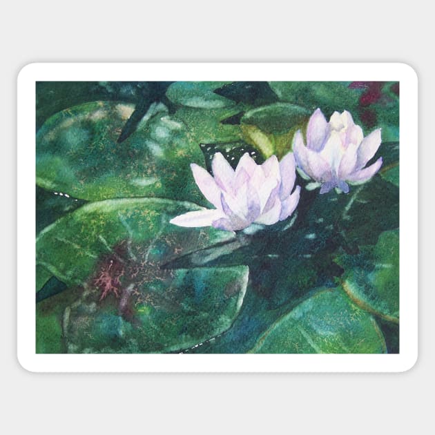 White Water Lilies in watercolor Sticker by thryngreen
